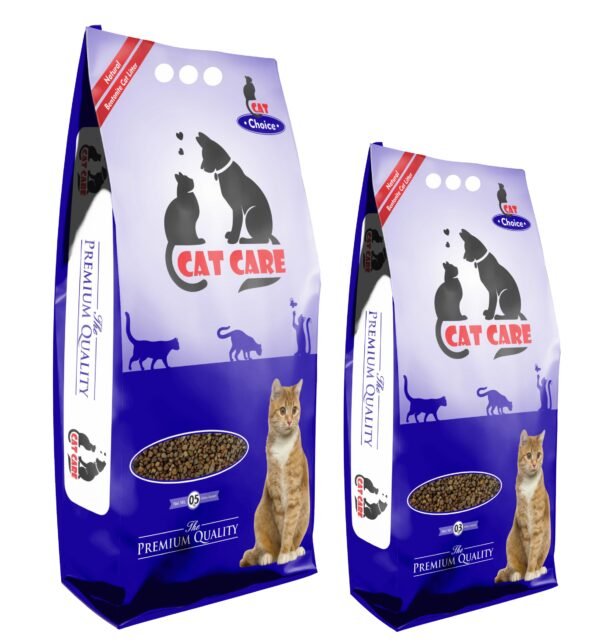 Snazyy Cat Choice